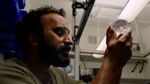 How I Wonder ... Through Different Viewpoints