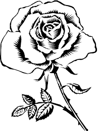Rose drawings in black and white. Rose Black And White Black Rose Clipart Wikiclipart