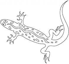 See also our collection of coloring pictures below. Lizard Pictures Coloring Pages Animal Coloring Pages Reptiles Coloring Pages
