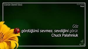 Goz Gordugunu Sevmez Sevdigini Gorur Chuck Palahniuk Chuckpalahniuk Goz Gormek Sevmek Ilgi Alaka Sevgi Sevda Chuck Palahniuk Guzel Soz Kultur