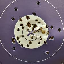 Focus and dedication are paying off. This morning, I shot a 291 out of 300.  My shots are feeling steady, and my focus is sharp. One strong shot at a  time. #archery #