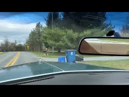 Image result for Garganey Teal 1973 Cadillac