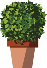 Para completar prendemos uma molinha no manjerico com uma bandeirinha alusiva ao s. Manjerico Wandaufkleber Tenstickers