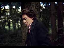 Le parolier jean fauque et son interprète s'embarquent pour memphis avec des désirs prononcés de blues. Bashung Album Osez Josephine Youtube