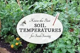Best Soil Temperatures For Sowing Vegetable Seeds Seeds Soil Vegetable Seed