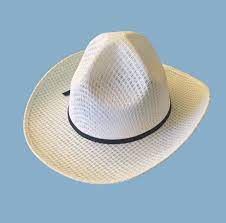 Sombrero Veracruz Palma Charro Hat Mariachi Suit Hats