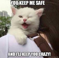 70 Most Hilarious White Cat Meme Funny White Cat Images Cat Aesthetic Cute Animals Cute Cats