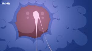 Evil Dr Arinsu Makes Him Cum Deep in Her Womb