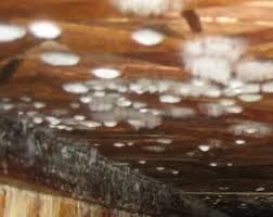 White mold on wood is a little more benign and causes less staining in the wood, making it easier to remove all traces. Norfolk Va Mold Removal Hero Mold Removal