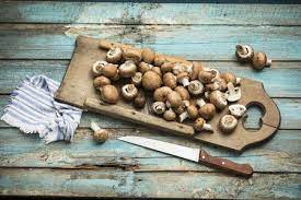 Can Dogs Eat Mushrooms