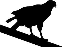 Bird Silhouettes Polish your personal project or design with these bald eagle silhouette transparent png images, make it even more personalized and more attractive. bird silhouettes