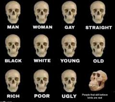 Skull Chart Birds Aren T Real Know Your Meme