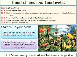 A food chain represents a simple linear pathway food chains tend to be overly simplistic representations of what really happens in nature. Food Chain And Food Webs Teaching Resources