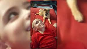 PHOTOS: National Kids and Pets Day