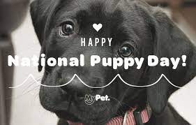 I M Celebrating National Puppy Day You Can Too If You Adopt A Puppy Like Me National Puppy Day Puppies Puppy Adoption