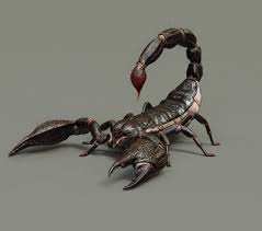 Emperor Scorpion By Opnuris Emperor Scorpion Rigged 3d Modelqualitative 3d Model Of The Emperor Scorpion High Quality Mod Scorpion Tattoo Scorpion 3d Tattoo