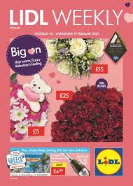 Lidl Weekly Offers Leaflet Thursday 13 Wednesday 19 February 2020 Weekly Offers Online In 2020 Lidl Leaflet Corporate Brochure Design