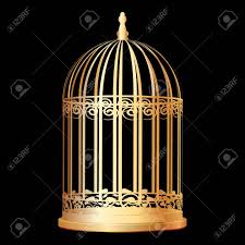 Pour les articles homonymes, voir la cage dorée. Vector Illustration De La Cage Doree Clip Art Libres De Droits Vecteurs Et Illustration Image 22496973