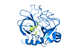 Asam kuat, seperti hcl 6m. Serine Protease Wikipedia