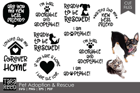 Download Pet Adoption And Rescue Svg And Cut Files For Crafters