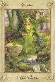 Maybe you would like to learn more about one of these? Llewellyn Tarot By Anna Marie Ferguson Ii The High Priestess Llewellyn Tarot Tarot Tarot Major Arcana