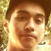 Pedro O. Calvillo, Jr. Obituary