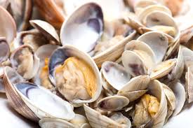 Fruits De Mer Palourdes Fraiches Et Coques Prepares Photo Stock Image Du Fruits Palourdes 65309094