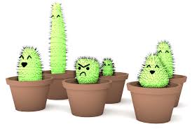 Does anyone know how to make it? A Rather Angry Cactus Blender