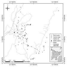 Image result for Eremospatha cuspidata