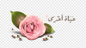 Mohamed rassoul allah by soufellou on deviantart. Rose Ya Allah Love Computer Wallpaper Flower Png Pngwing