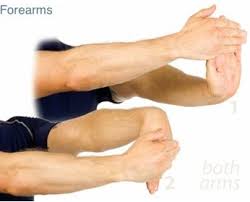 Tendons are delicate groups of connective tissue that append muscles to bones and enable joints to flex and broaden. Onion River Chiropractic Chiropractor In Winooski Vt Us Forearm Tendonitis