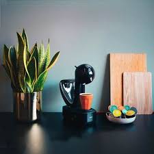And greatest hits vinyl half a million dollar homes camp d oliveres els catarres lletra bosto tablet software michael jackson hologram billboard arizona. Dolce Gusto Rocks