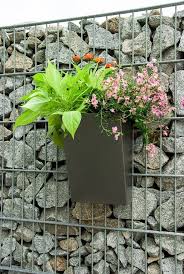 Blumen Im Pflanzkubel Sind Ein Echter Hingucker Aber Wie Setze Ich Sie Richtig Ein Welche Erde Sollte Ich Verwenden Antworten Da Pflanzen Pflanzkubel Blumen