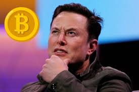 — elon musk (@elonmusk) february 19, 2021. Lypjrq5fippjcm