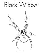 Some spider coloring may be available for free. Spider Coloring Pages Twisty Noodle