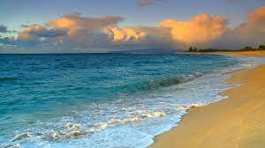 Maybe you would like to learn more about one of these? Free Download Hawaii Background Screensaver Beach Beaches Media Webshots Beautiful 1920x1080 For Your Desktop Mobile Tablet Explore 44 Hawaii Screensavers And Wallpaper Free Hawaii Wallpaper Screensavers
