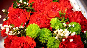 Cores de Cravos e o Símbolo da Revolução de 25 de Abril