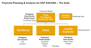 The general responsibilities of a financial planning manager may include. Implementer S Guide To S4 Based Financial Planning Analysis For Sap S 4hana Using Sap Analytics Cloud Sap Blogs