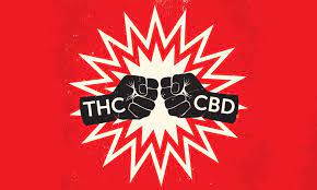 How well do you know melbourne? Quiz How Well Do You Know Your Thc Vs Your Cbd Leafly