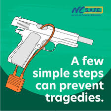 Image result for Gun Safety