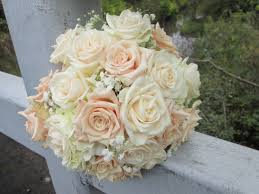 We did not find results for: Tips And Tricks Eugene Wholesale Flowers