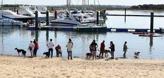 Check spelling or type a new query. Playa Para Perros En Punta Umbria Redcanina Es
