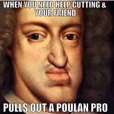 Beats a Greenworks saw tho 🤷