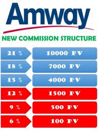 Amway Pin Level Income