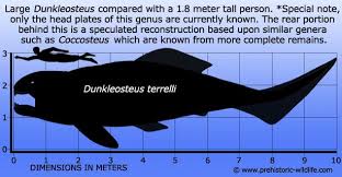 Top 10 Prehistoric Fish Dinosaur Pictures Ancient Fish Prehistoric Animals