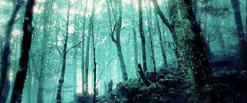 Image result for cool nature gifs