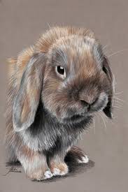 Animal Pastels Pastels Animaliers Et Equins Photographies Peintures Illustrations Pastel Portrait Au Crayon Crayon A Dessiner