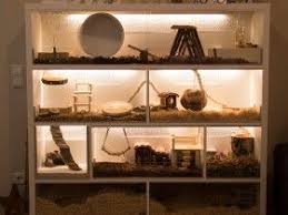 Kallax Umbau Fur Zwei Rennmauschen Kafig Und Terrarienbau Rennmaus De Community Rennmaus Hamster Gehege Hamster Ideen