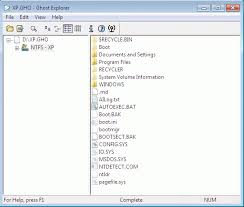 Download Symantec Ghost 11 0 1 Padlizalizaus Over Blog Com Hype Men Ghost Download