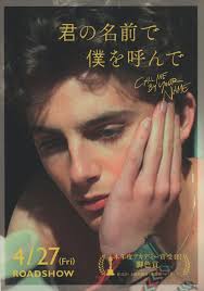 Call Me By Your Name Movie Poster 27x40 Call Me By Your Name Poster Tumblr Your Name Movie Your Name Quotes Call Me